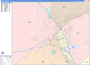 Las Cruces  Wall Map Color Cast Style